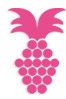Anabelle pineapple logo